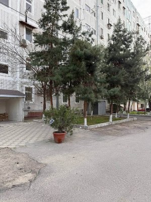 3-комнатная квартира в Паркентском районе