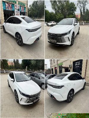 BYD Chazor Hybrid 2023