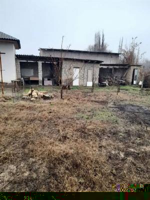 Дача в Ташкентской области, Аккурган