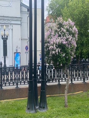 Двухкомнатная квартира в сталинском доме на улице Навои