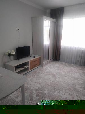 Квартира в бывшем общежитии, 18 кв.м, Лисунова