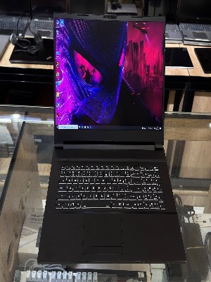 Ноутбук System76 Gazelle 17.3