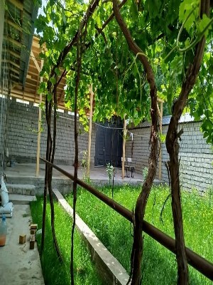Продается 5-комнатный дом 4 сотки в Юкоричирчикском районе