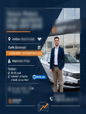 Торговые агенты в Sancar Motors