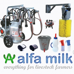 Акмаль Малик ООО Alfa Milk