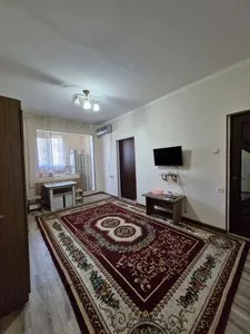 1-комнатная квартира на Лисунова-1