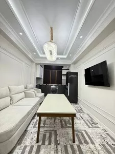 2-комнатная квартира-студия, 45 м2, Геофизика
