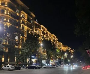 2-комнатная квартира в ЖК Silk Road, 58 м2
