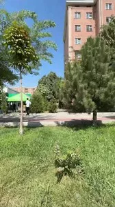 2-комнатная квартира в Янгихаётском районе