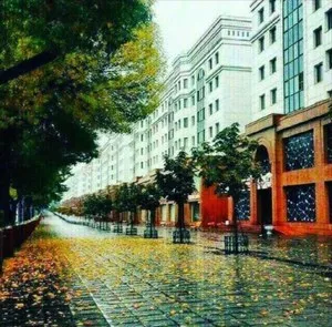 3-комнатная квартира, 105 м2, ул. Алишера Наваи