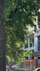 3-комнатная квартира, 80 м², Шайхантахурский район, улица Навои