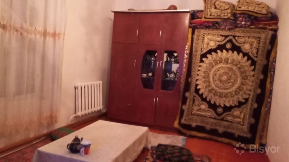 Katta shirin eshak video