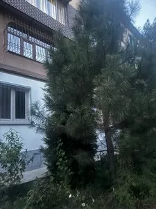 4-комнатная квартира, 112 м², Яккасарайский район