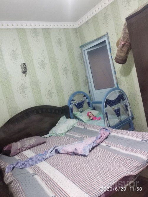 Shaggy ona porno Jojalar erkaklarning ogziga tushadi