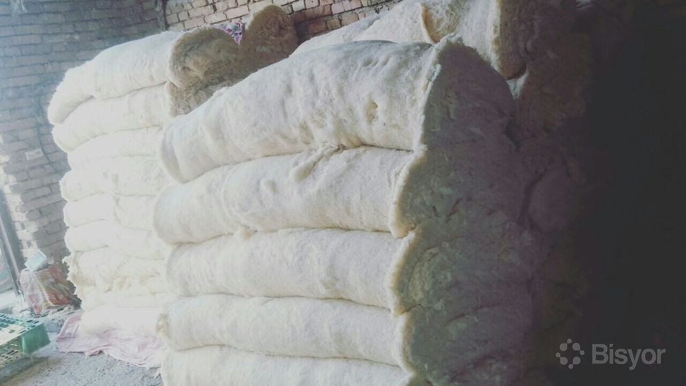 Olmaotada nogiron uchun jinsiy aloqa