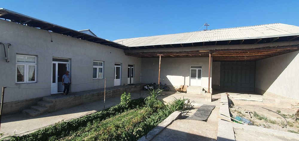 Kiyim ostidagi mushukning fotosurati Jinsiy aloqa Mark Dorsel