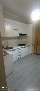 Аренда 1-комнатной квартиры в ЖК Green Park
