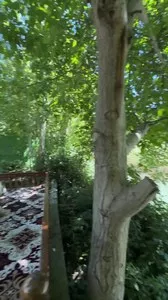 Аренда дачи в районе Бочки