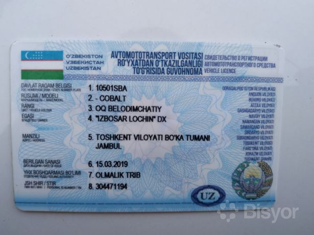 Tribing mushuklar Tribing mushuklar