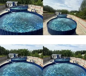Бизнес по разведению форели