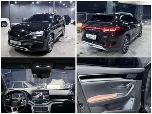 BYD Champion 110 2024 года