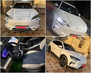 BYD Champion Plus 2023