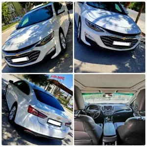 Chevrolet Malibu 2 Turbo 2019