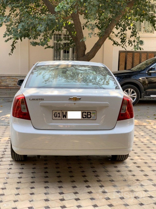 Olga Belovaning yalangoch fotosuratlari Jojalarning mushuklari suratlari