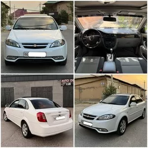 Джентра 2018/2019
