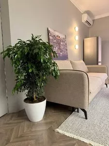 Двухкомнатная квартира в ЖК Business Park Golden House
