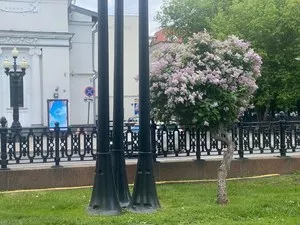 Двухкомнатная квартира в сталинском доме на улице Навои
