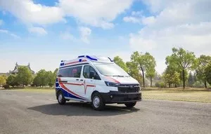 Ford  Ambulance , новая, 2 л мотор бензиновый, цена без растаможки