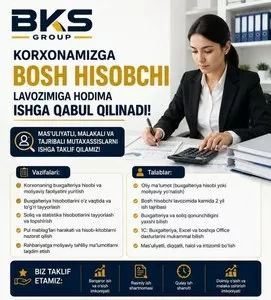 Главный бухгалтер в BKS GROUP