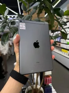 iPad Mini 5 256GB