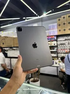 iPad Pro 11 дюймов M1 512 ГБ LTE