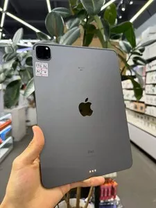 iPad Pro 11-inch M1 256GB