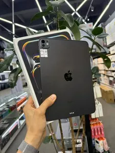 iPad Pro 11-inch M4 256 GB