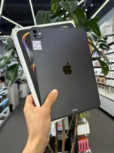 iPad Pro 11-inch M4 512GB