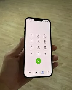 iPhone 13 Pro Max 256GB