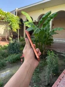 iPhone 17 Pro Max 256GB