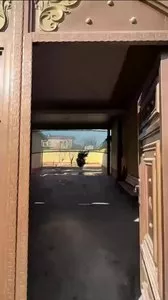 Коттедж в районе Гулзор 2-массив
