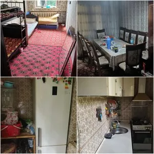Квартира в аренду в Чилонзоре