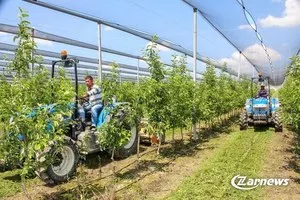 Мехнаткаш дехкон и тажрибали трактор хайдовчиси