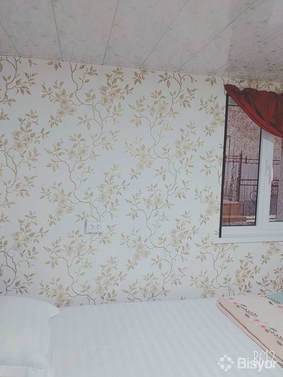 Emi Li Evanessensning erotik fotosuratlari