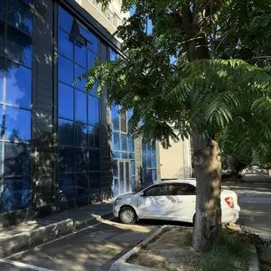 Нежилое помещение 700 м2 на первой линии, Чинабад
