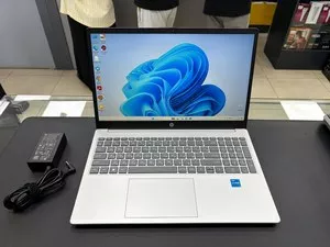 Ноутбук HP 255 G10 Silver