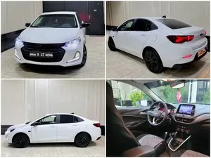 Onyx Position-3 LT Midnight 2024