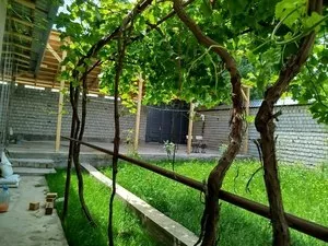 Продается 5-комнатный дом 4 сотки в Юкоричирчикском районе