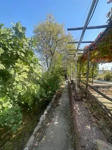 Продается дача 20 соток