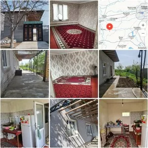 Продается дом 5 соток в Аккурганском районе